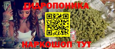крисы Мариинск