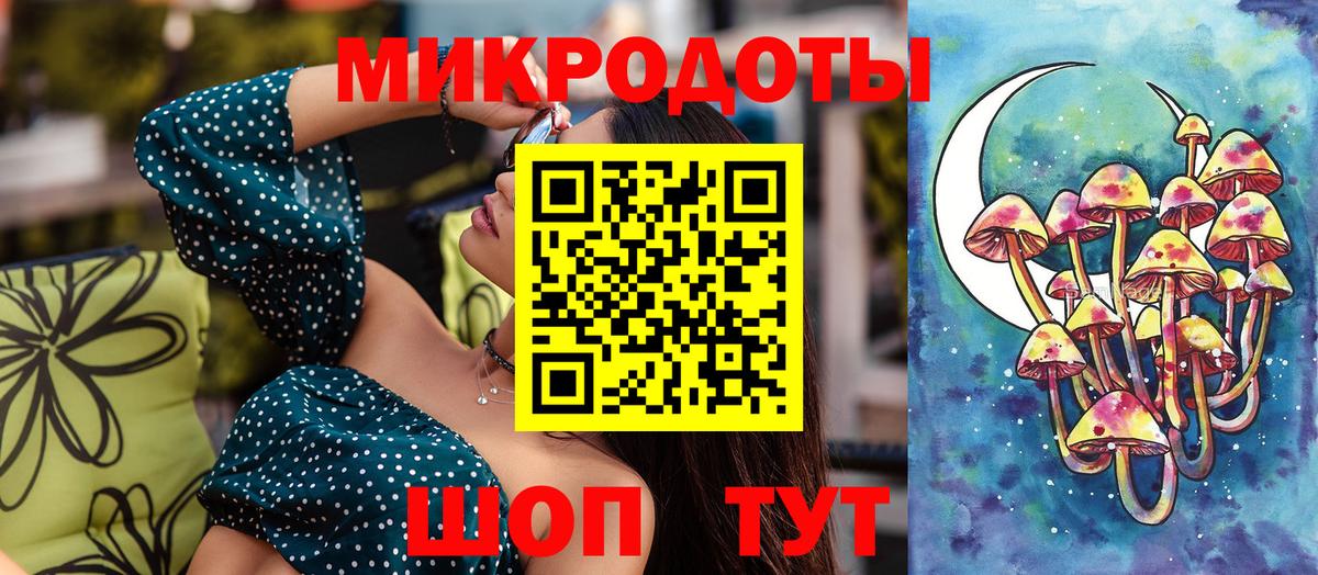 Галлюциногенные грибы Psilocybe Воркута