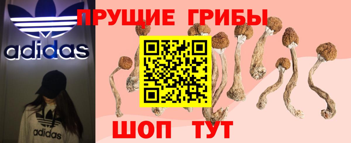 Воркута  Псилоцибиновые грибы GOLDEN TEACHER  Вход с VPN 